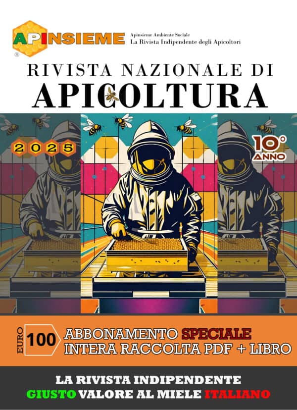 SPECIALE 10° ANNO intera raccolta PDF e libro edito da APINSIEME